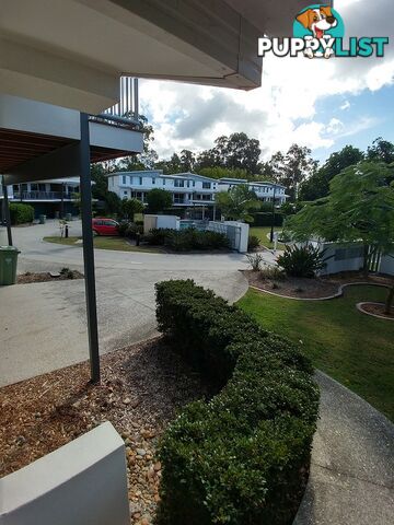 14/1-13 Alvey Way MUDGEERABA QLD 4213