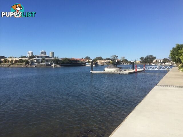 5 HARBOUR SIDE COURT BIGGERA WATERS QLD 4216