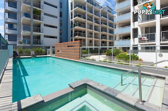 S16/8 Cordelia st SOUTH BRISBANE QLD 4101