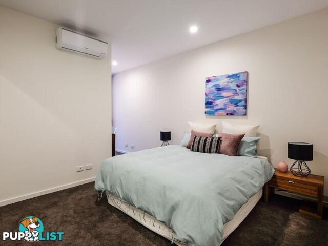 207/32-36 Gonzales Street MACGREGOR QLD 4109