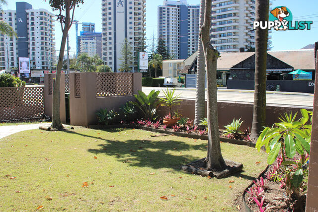 Unit 1, 2936 Gold Coast Highway SURFERS PARADISE QLD 4217