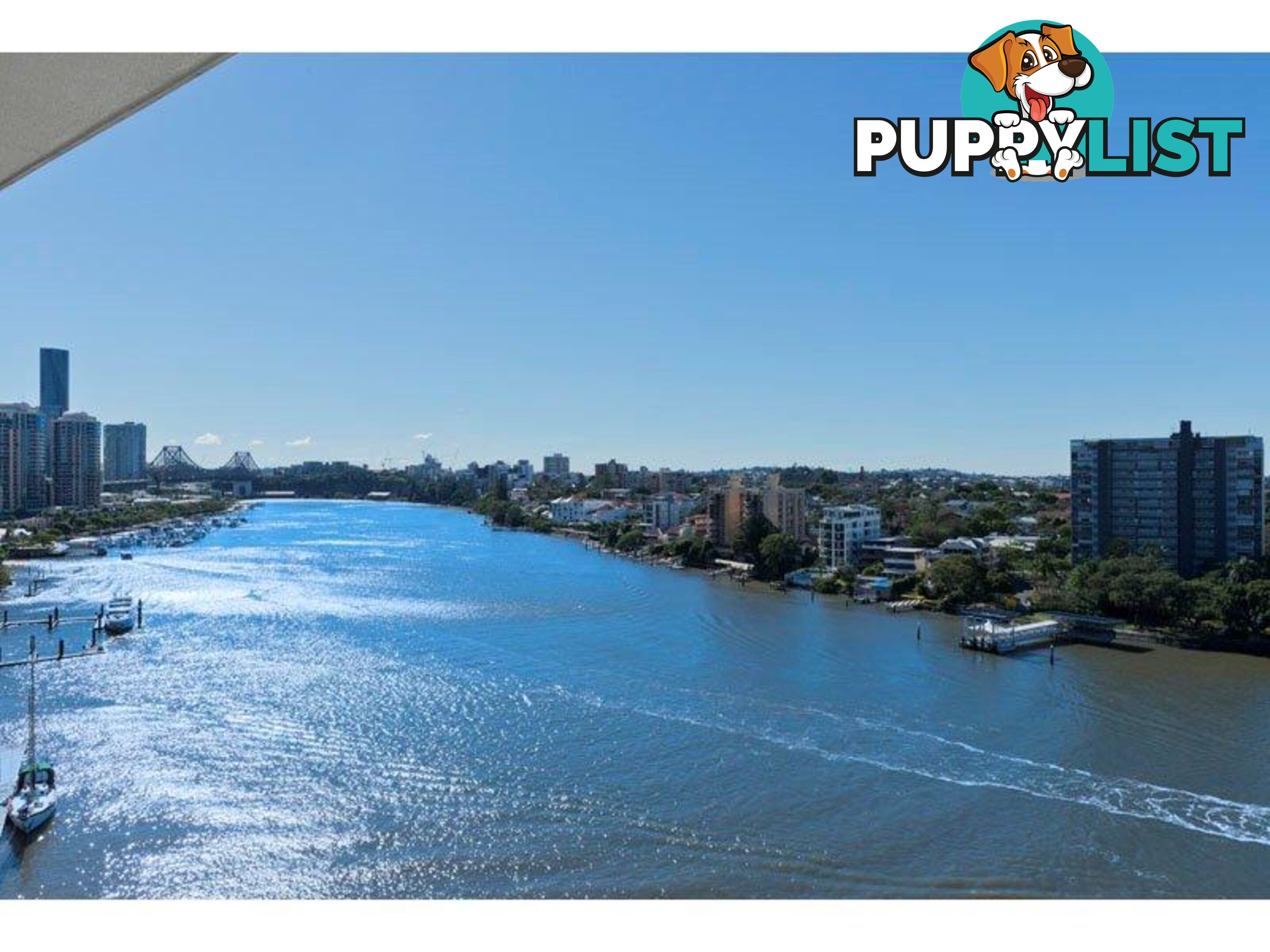 98 THORN STREET KANGAROO POINT QLD 4169