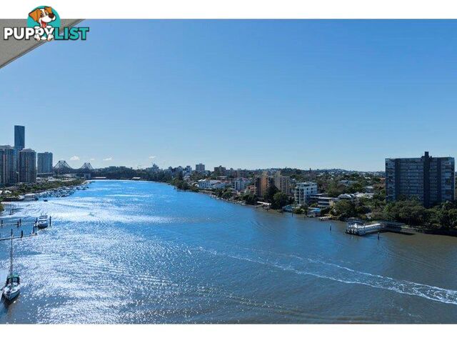 98 THORN STREET KANGAROO POINT QLD 4169