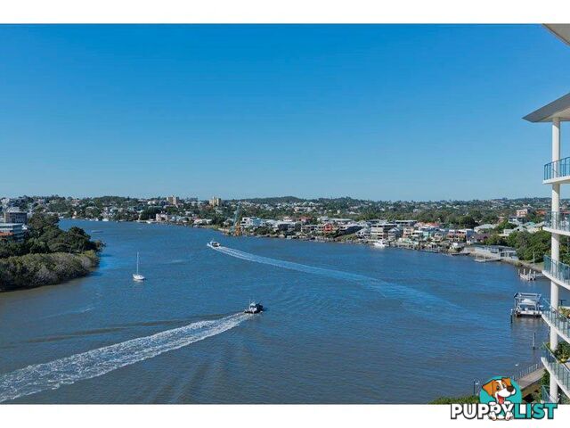 98 THORN STREET KANGAROO POINT QLD 4169