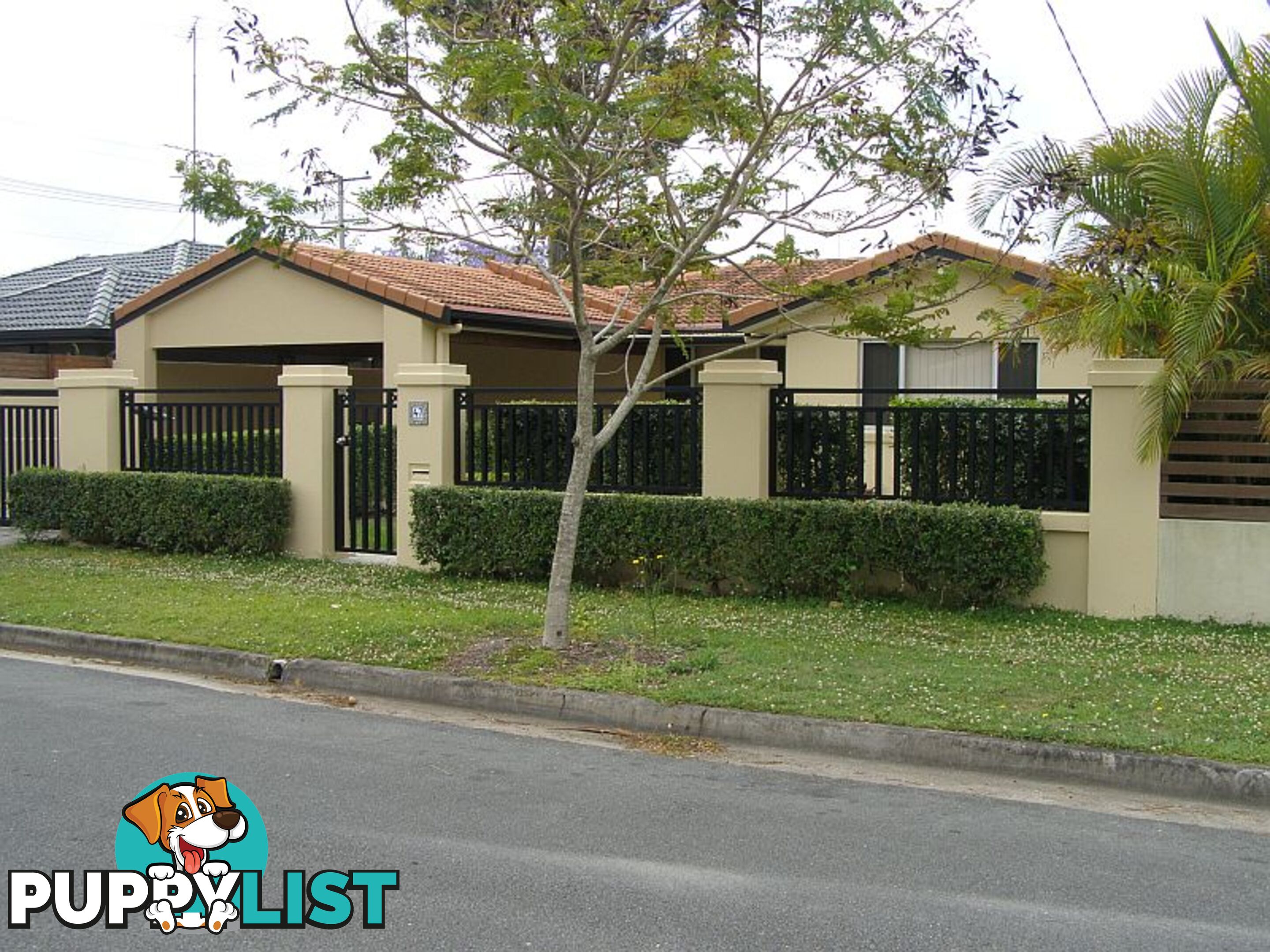 47 Coogeen Street BUNDALL QLD 4217