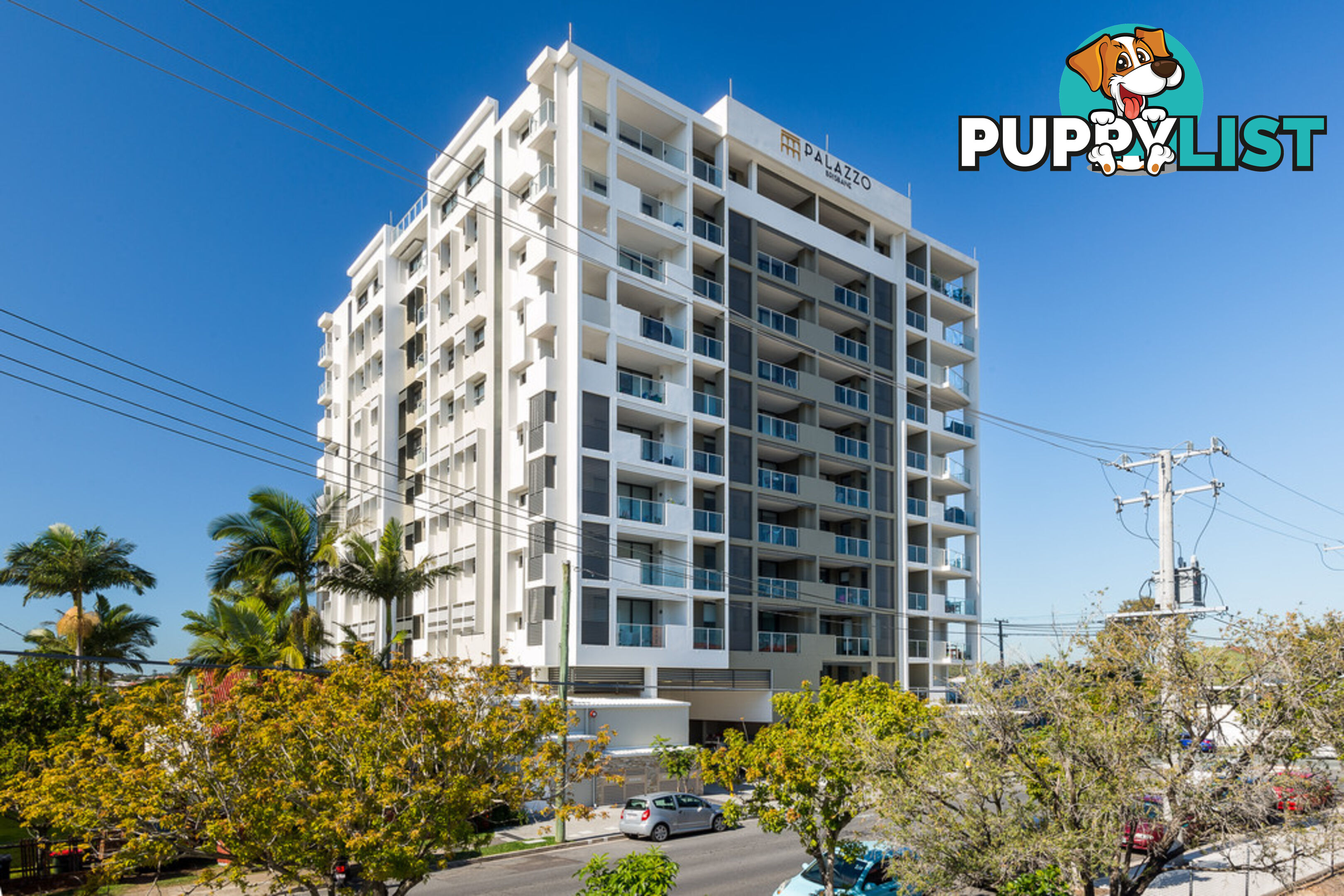 510 / 70 Carl Street WOOLLOONGABBA QLD 4102