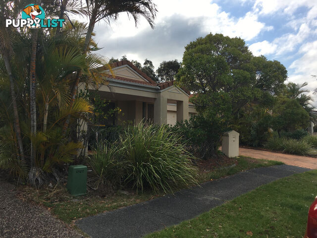 37 Marble Arch Place ARUNDEL QLD 4214