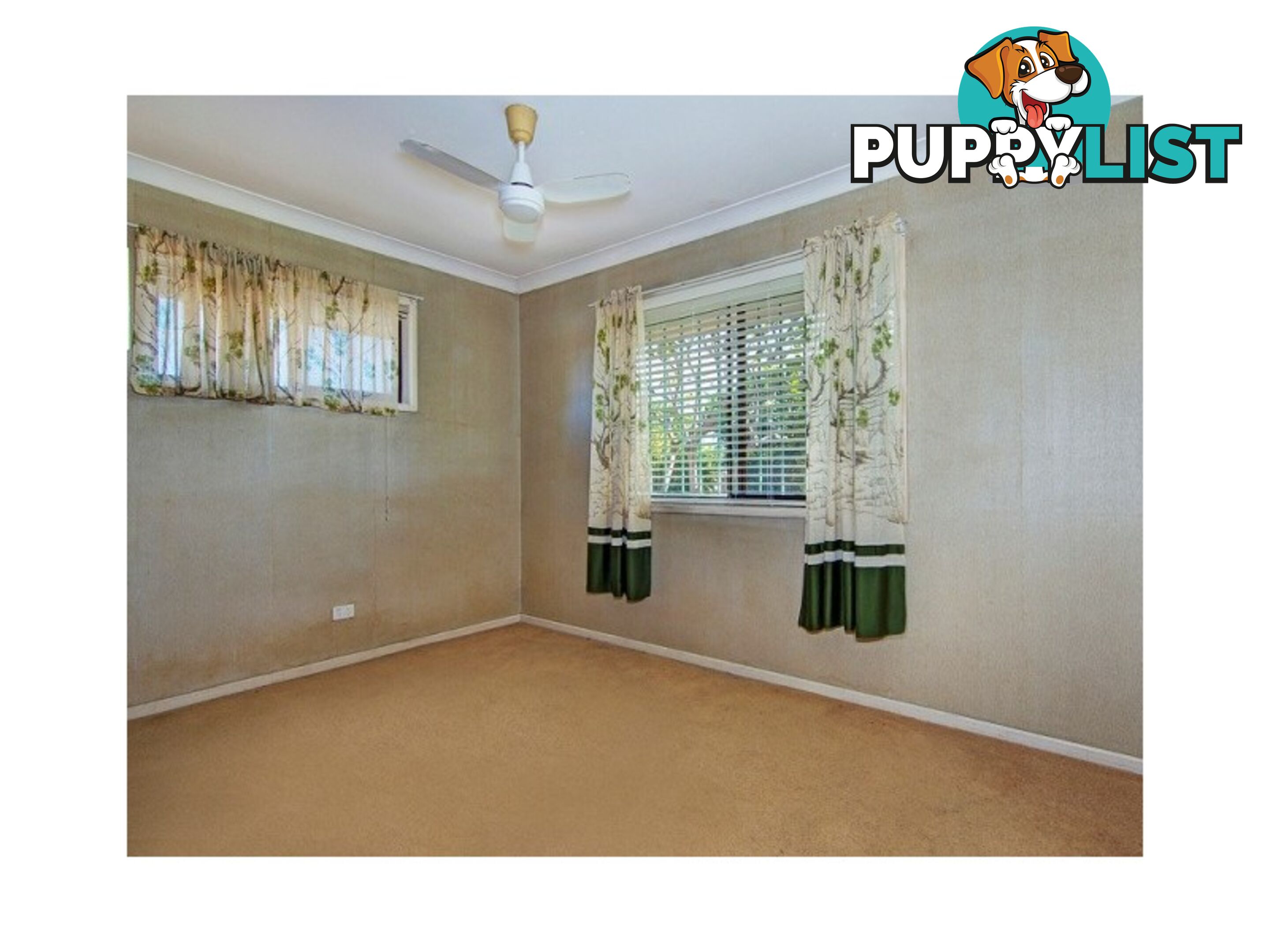 29 Quintinia St ALGESTER QLD 4115