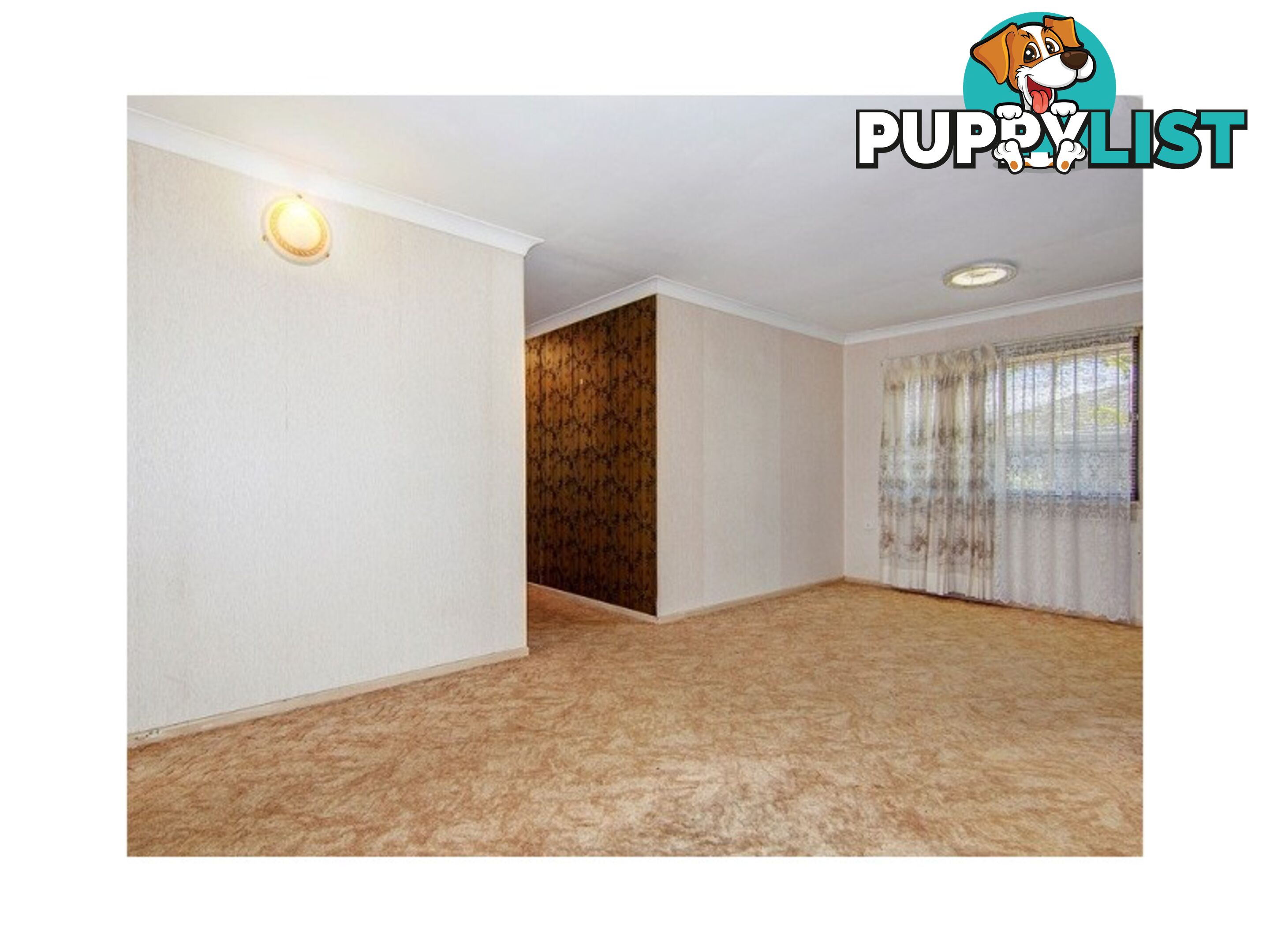 29 Quintinia St ALGESTER QLD 4115