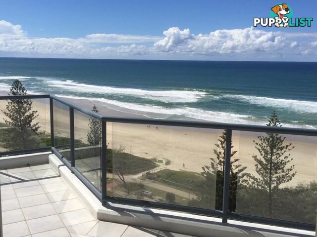 96/100 Old Burleigh Road BROADBEACH QLD 4218