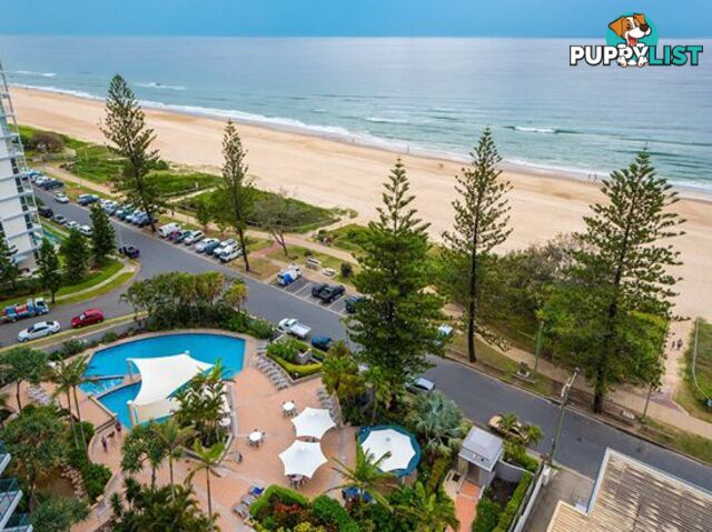 96/100 Old Burleigh Road BROADBEACH QLD 4218