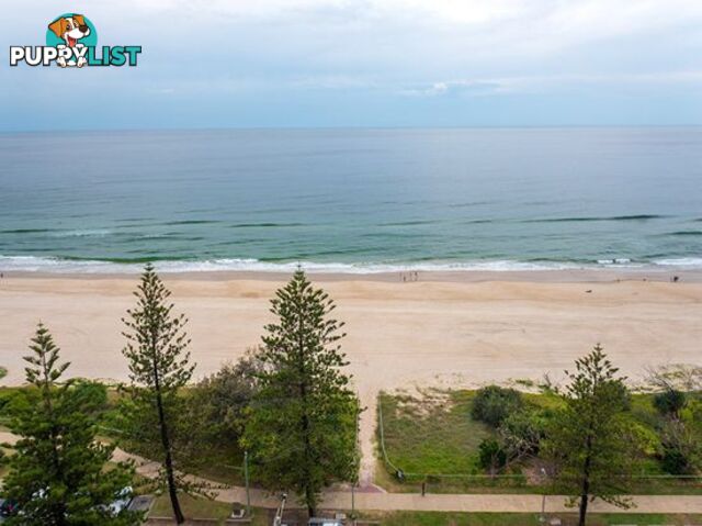 96/100 Old Burleigh Road BROADBEACH QLD 4218