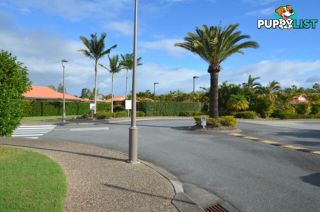 11/88 Cotlew Street East SOUTHPORT QLD 4215