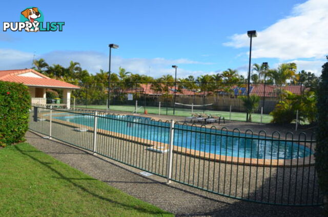 11/88 Cotlew Street East SOUTHPORT QLD 4215
