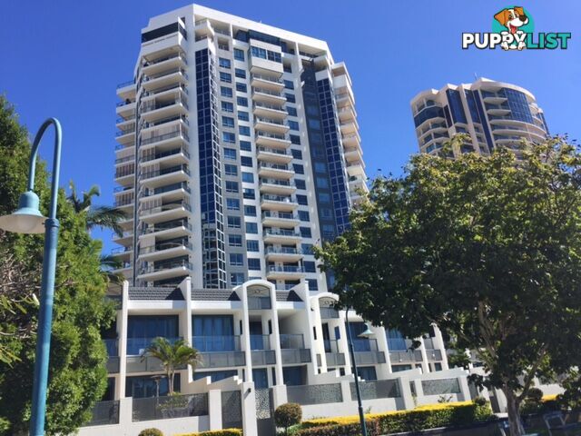 56/42 Ferry Street KANGAROO POINT QLD 4169