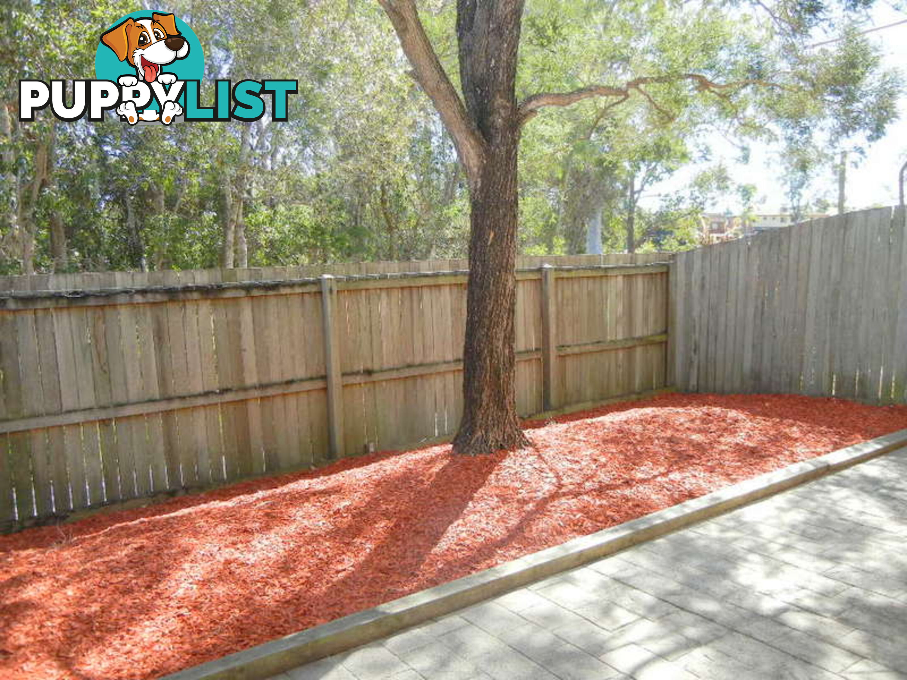 11 Rebecca Way SLACKS CREEK QLD 4127