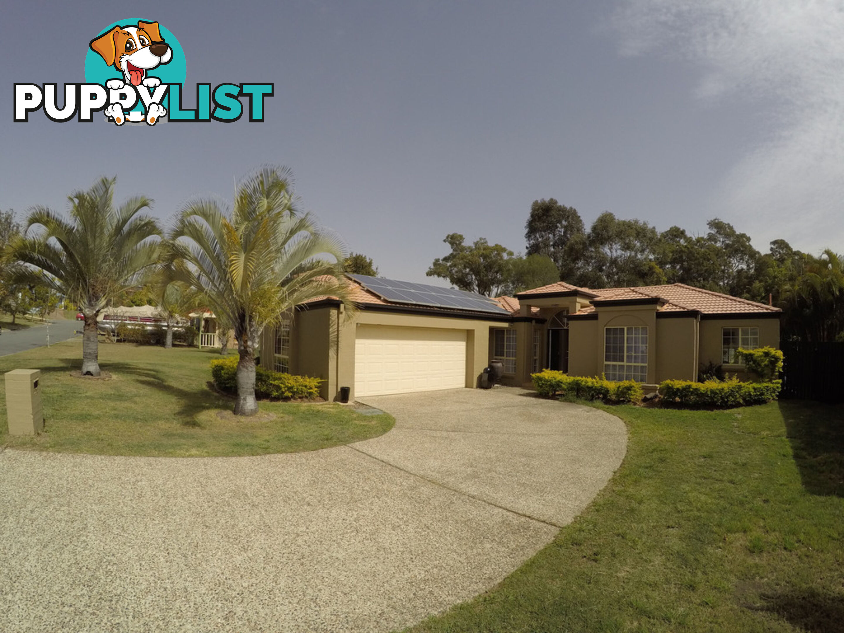 41 Desert Falls Crescent PARKWOOD QLD 4214