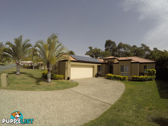 41 Desert Falls Crescent PARKWOOD QLD 4214