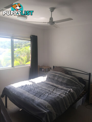 33/114-118 Trinity Beach Road TRINITY BEACH QLD 4879