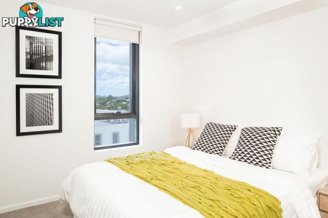 501/11-17 Lytton Road EAST BRISBANE QLD 4169