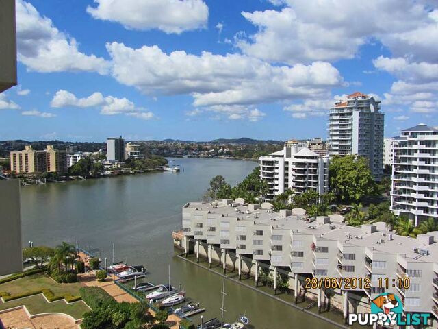 44 Ferry KANGAROO POINT QLD 4169