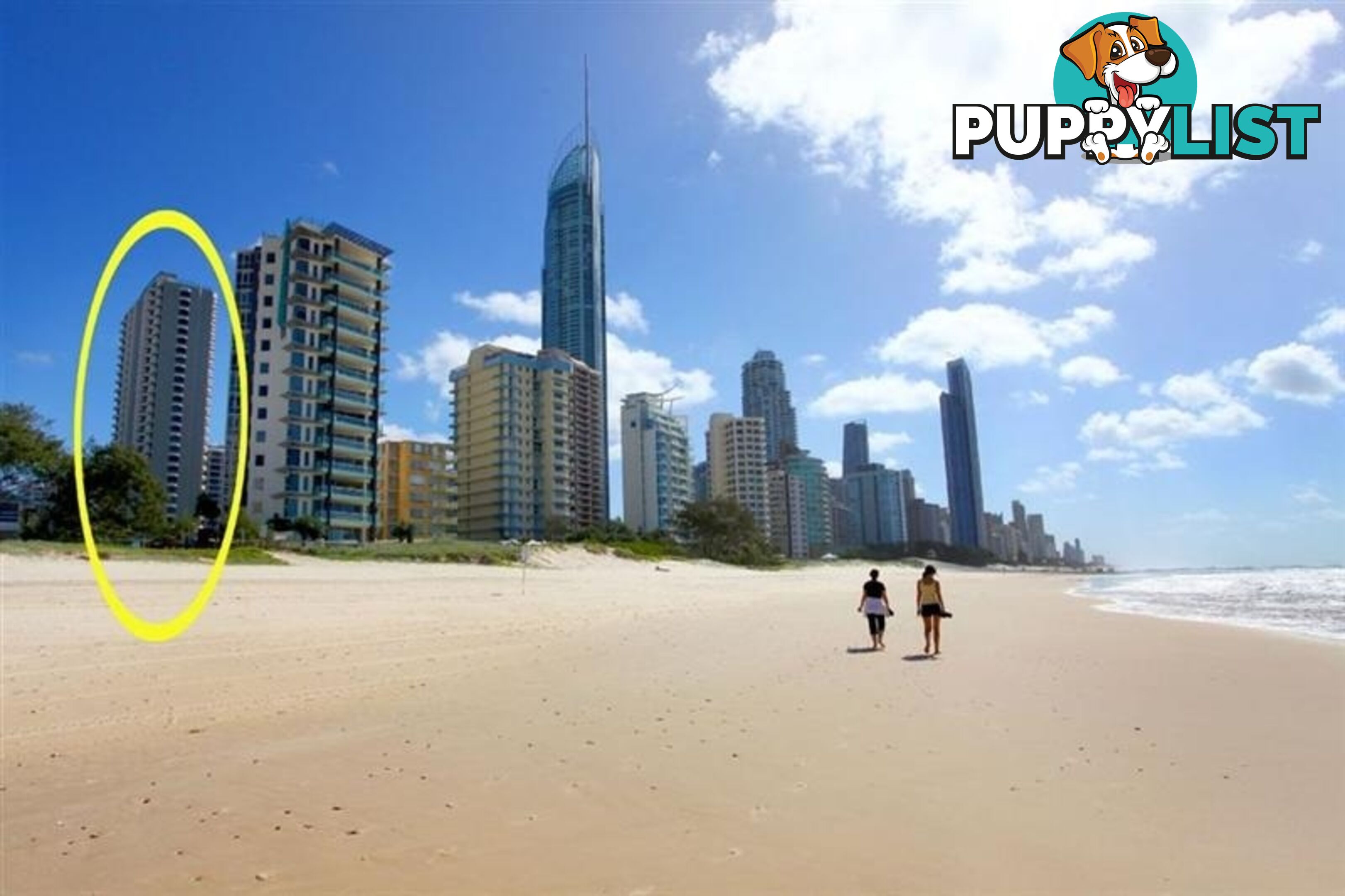 2605/5-25 Enderley Ave SURFERS PARADISE QLD 4217