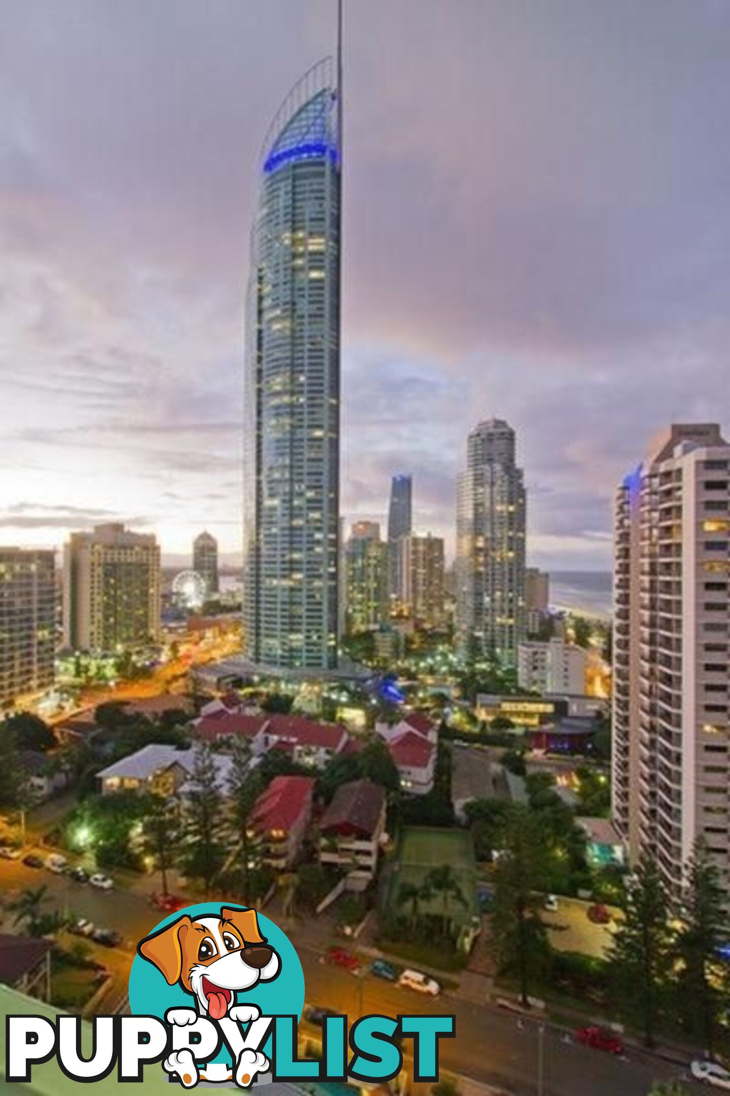 2605/5-25 Enderley Ave SURFERS PARADISE QLD 4217