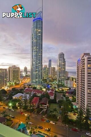 2605/5-25 Enderley Ave SURFERS PARADISE QLD 4217