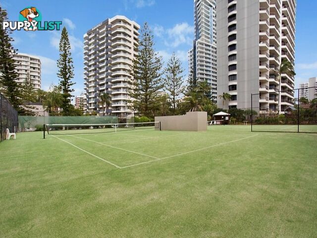 2605/5-25 Enderley Ave SURFERS PARADISE QLD 4217