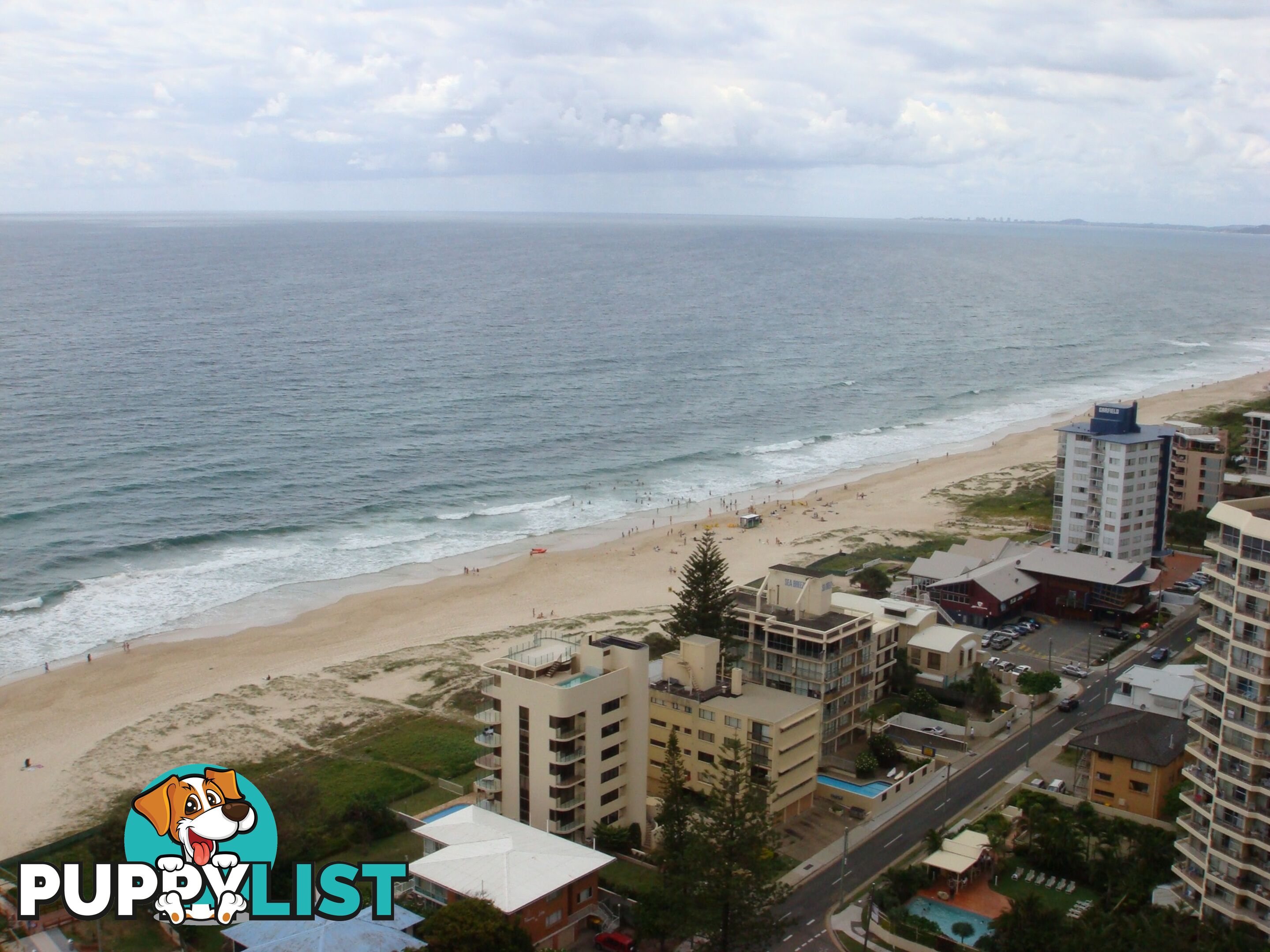 2605/5-25 Enderley Ave SURFERS PARADISE QLD 4217