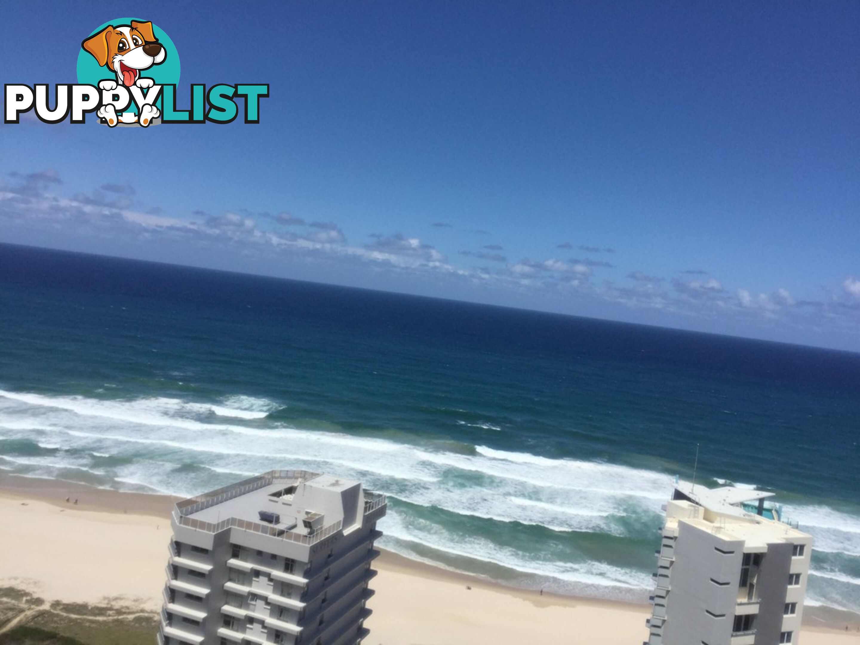 2605/5-25 Enderley Ave SURFERS PARADISE QLD 4217