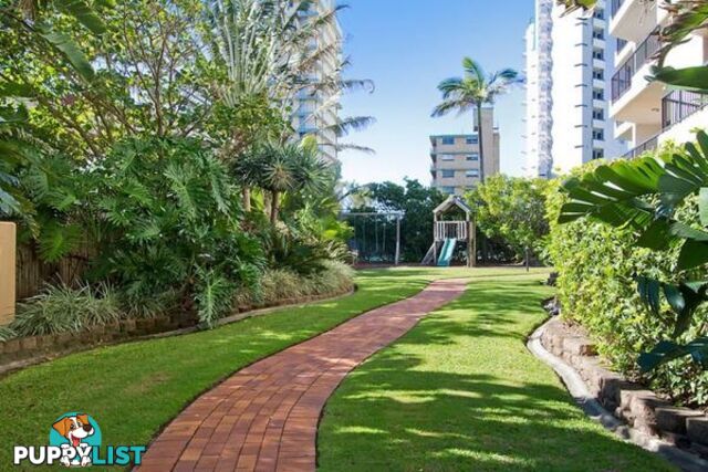 2605/5-25 Enderley Ave SURFERS PARADISE QLD 4217