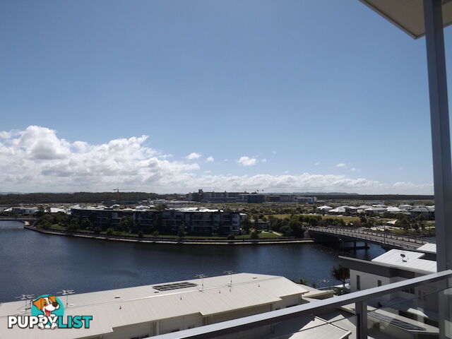 57/46 Regatta Blvd BIRTINYA QLD 4575