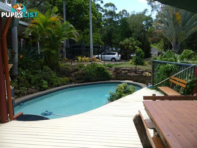 TAMBORINE MOUNTAIN QLD 4272