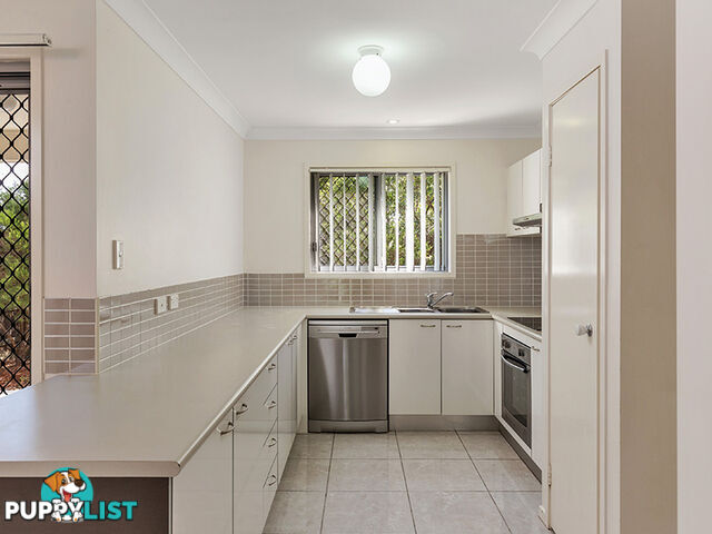 19 Platinum Place OXLEY QLD 4075