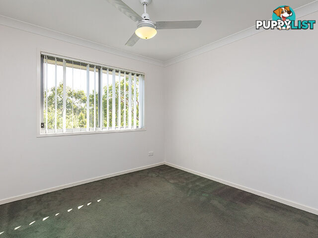 19 Platinum Place OXLEY QLD 4075