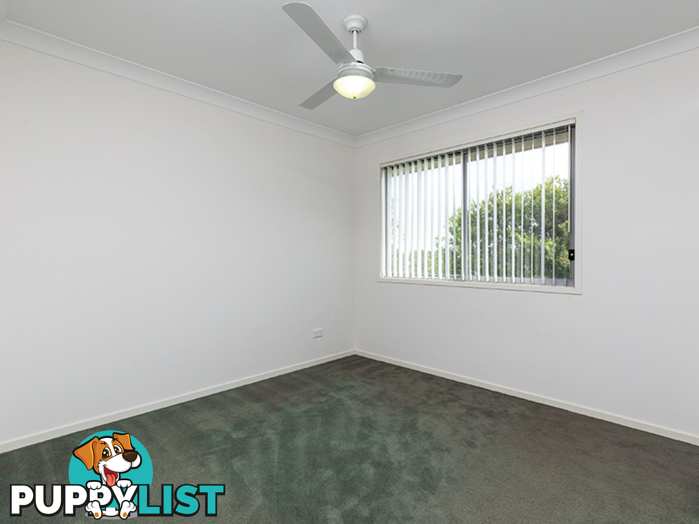 19 Platinum Place OXLEY QLD 4075