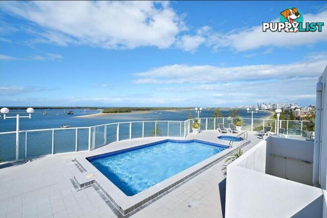 35/510 Marine Parade BIGGERA WATERS QLD 4216