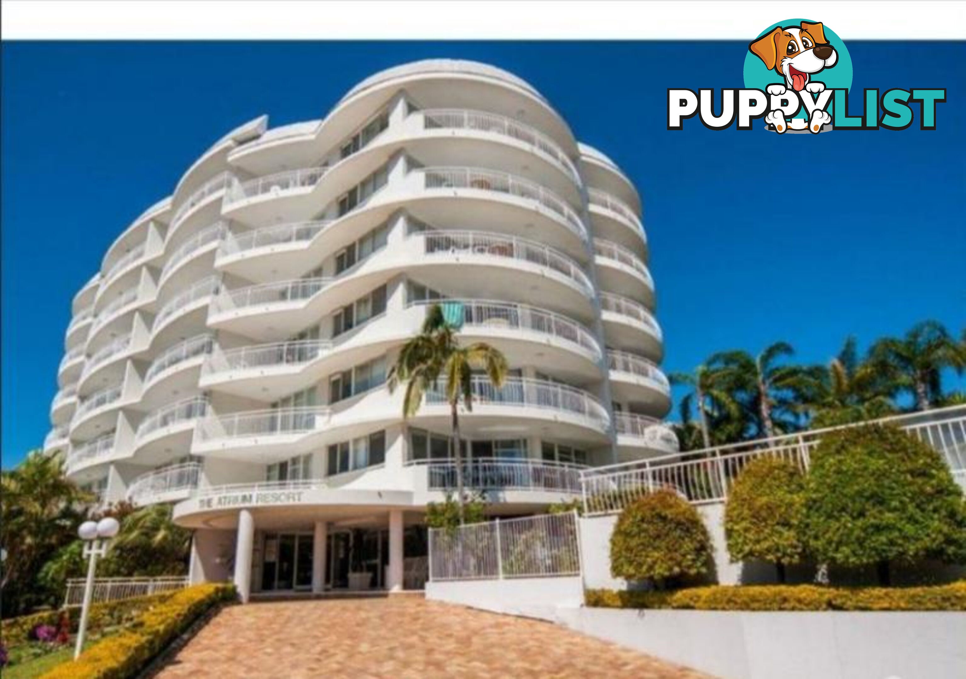 35/510 Marine Parade BIGGERA WATERS QLD 4216