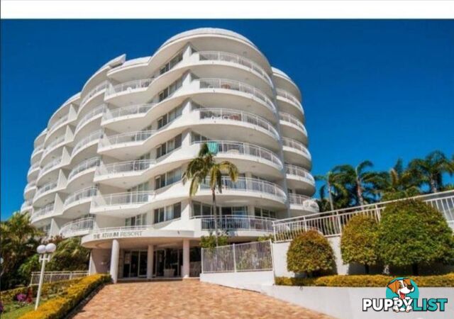 35/510 Marine Parade BIGGERA WATERS QLD 4216
