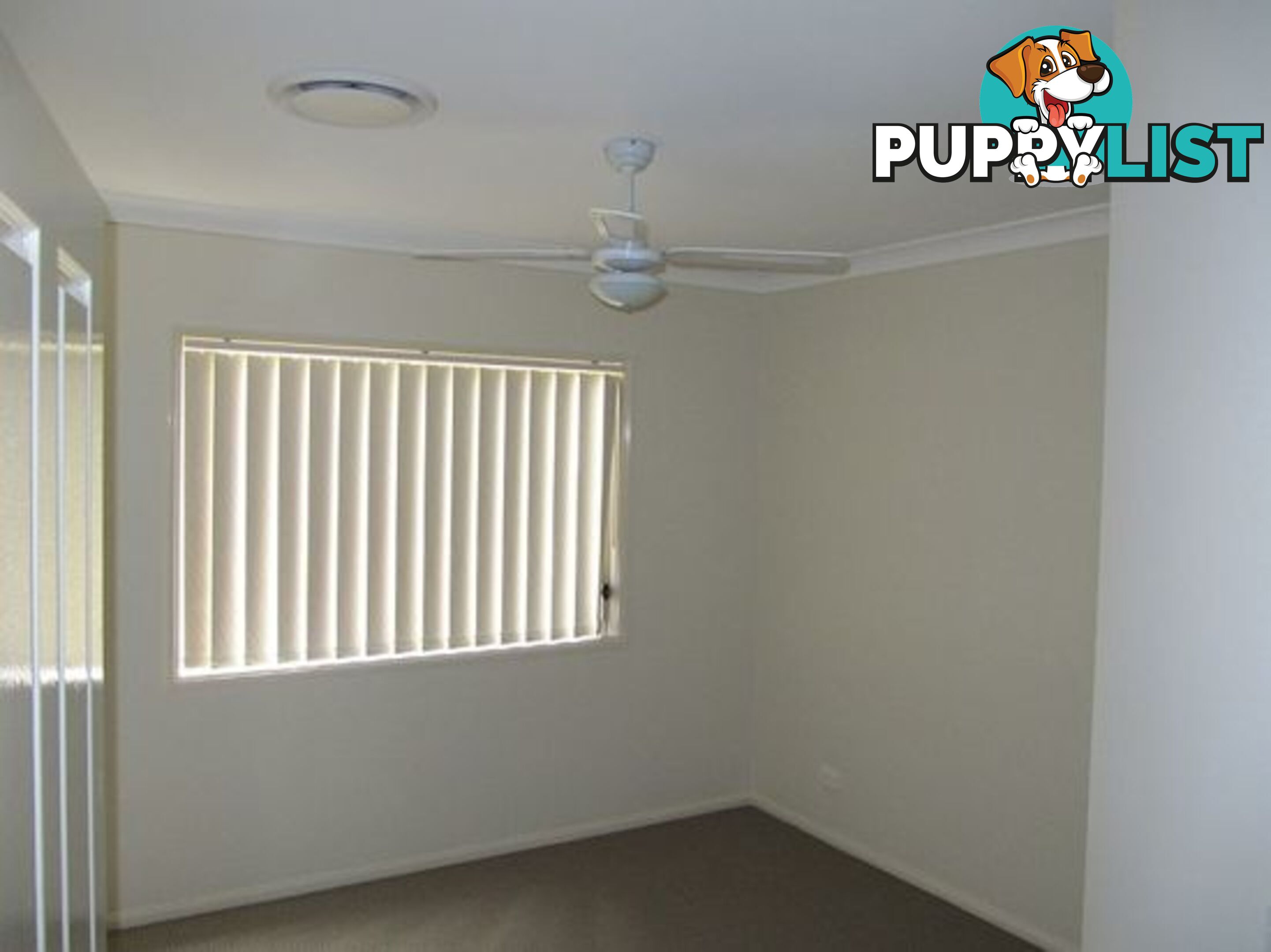 13 Mada Drvie UPPER COOMERA QLD 4209