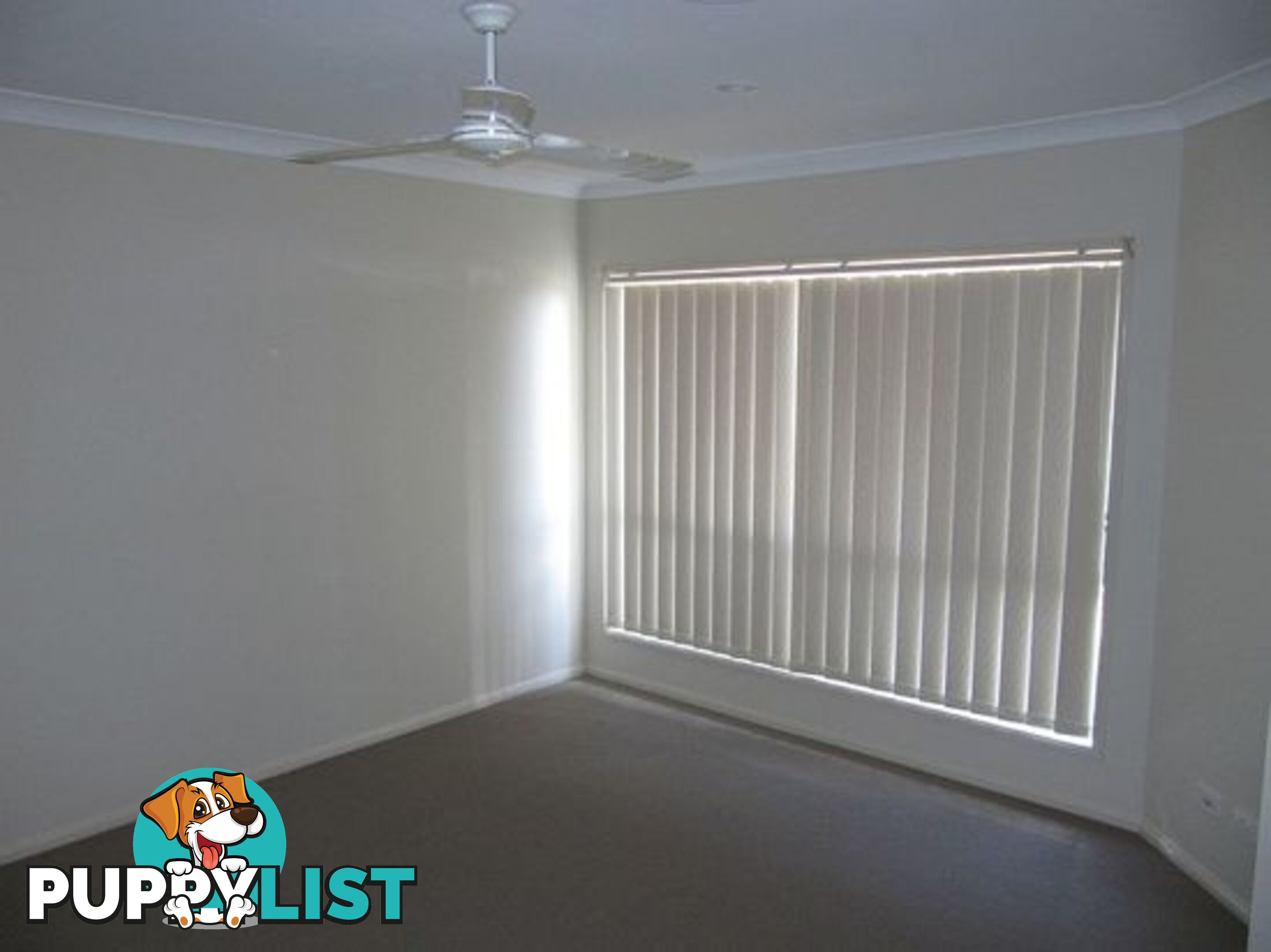 13 Mada Drvie UPPER COOMERA QLD 4209