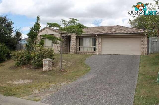 13 Mada Drvie UPPER COOMERA QLD 4209