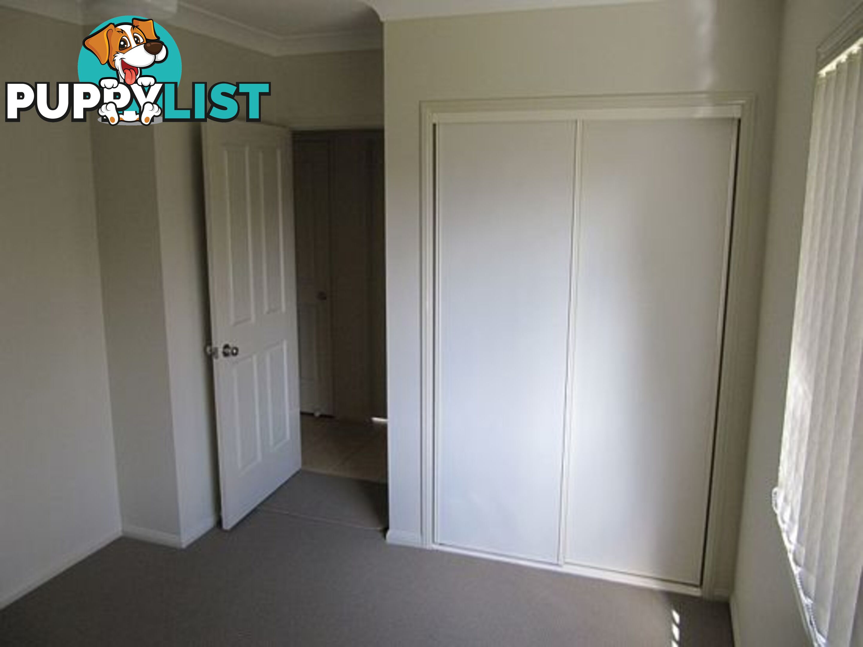 13 Mada Drvie UPPER COOMERA QLD 4209