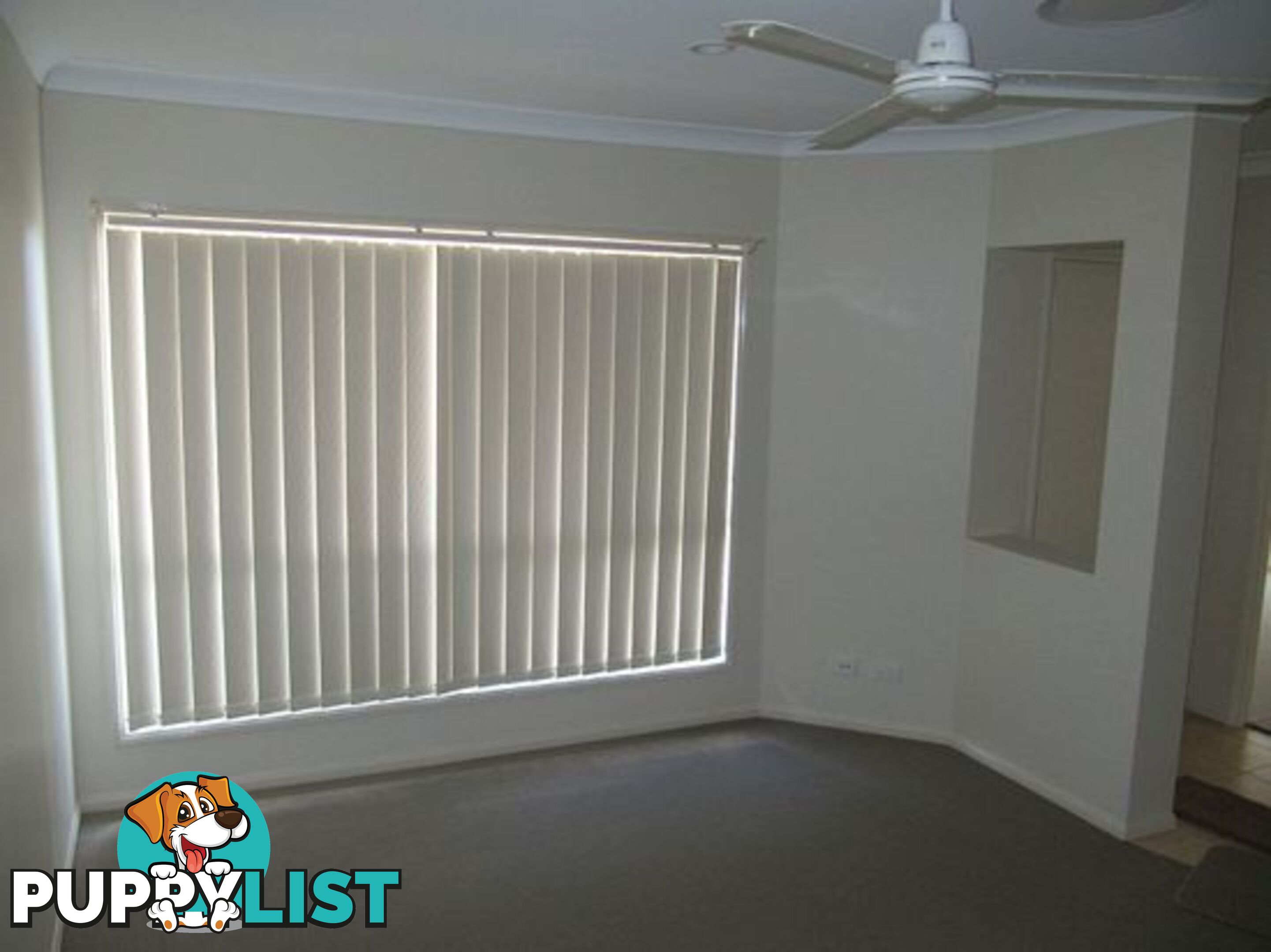 13 Mada Drvie UPPER COOMERA QLD 4209