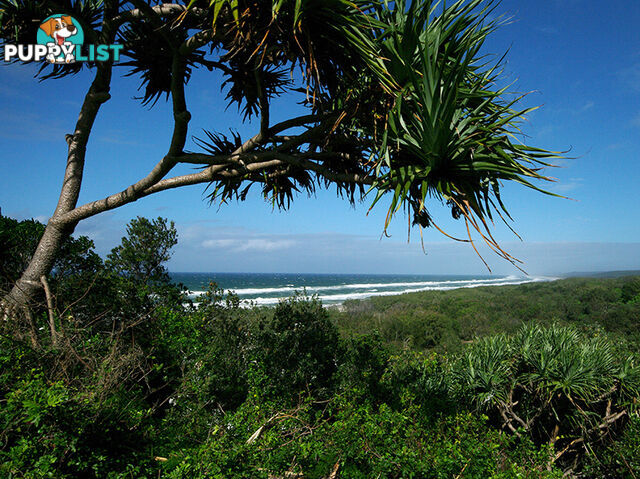 POINT LOOKOUT QLD 4183