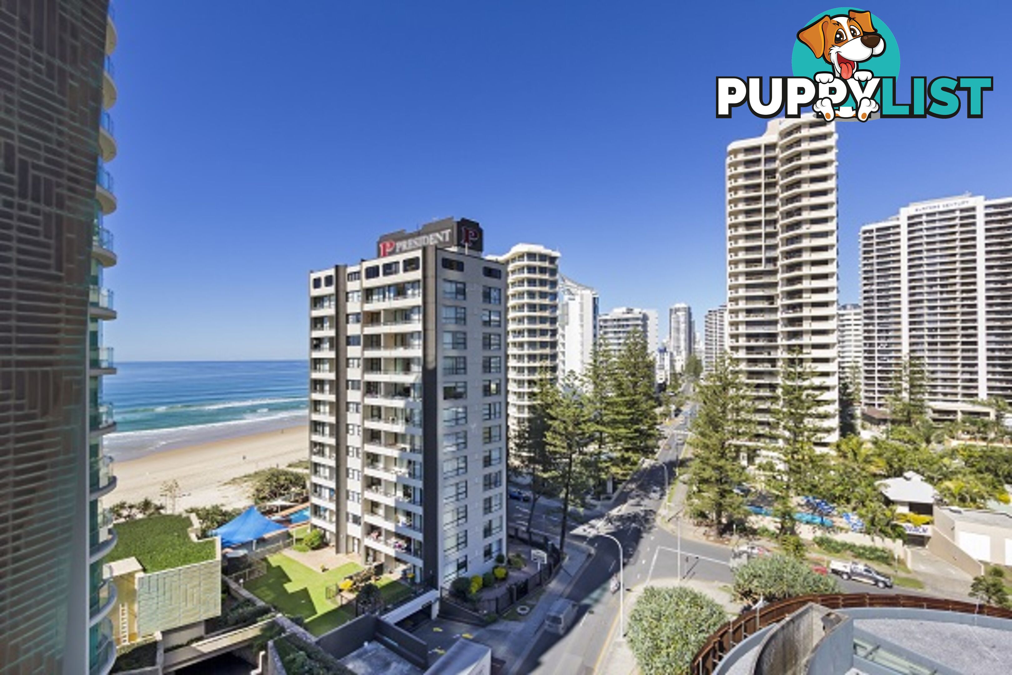 4 Clifford St SURFERS PARADISE QLD 4217