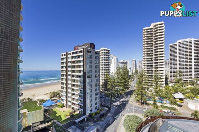 4 Clifford St SURFERS PARADISE QLD 4217