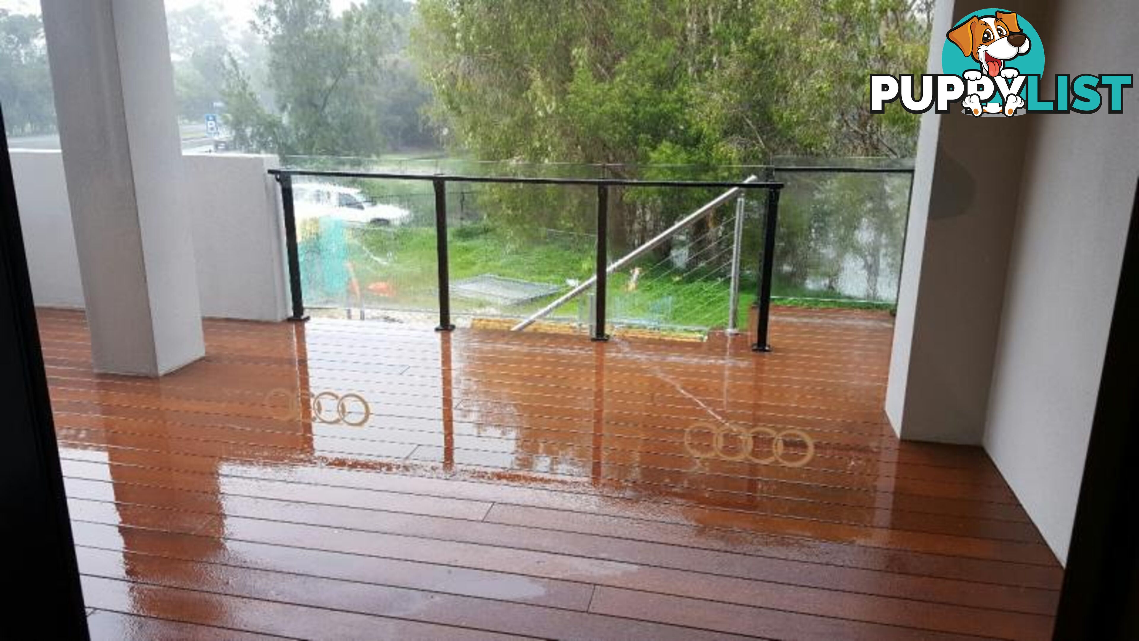 272 Poppy Lane ROBINA QLD 4226