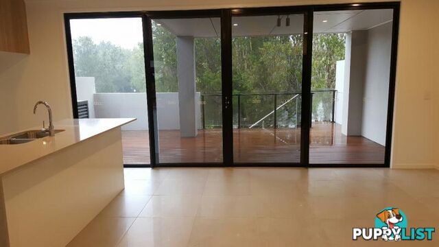 272 Poppy Lane ROBINA QLD 4226